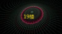 19楼
